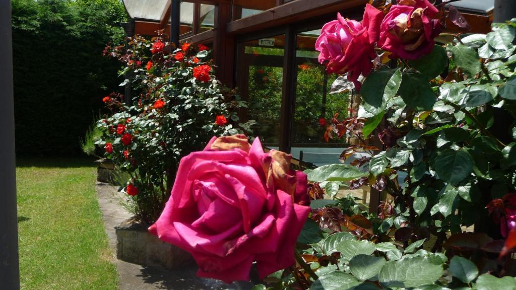 Logis La Rose Des Vents Hotel Volvic Exterior photo